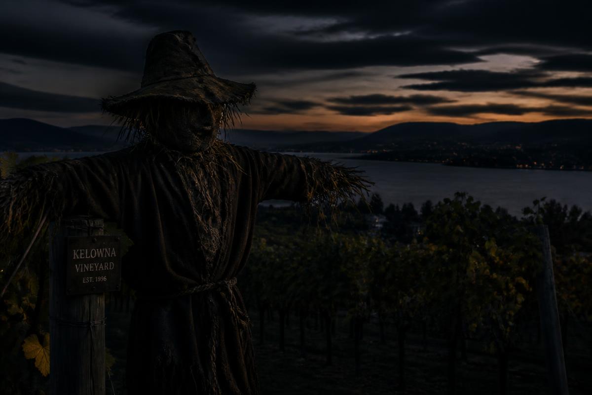 Case 001: The Scarecrow — Harvest Hollow Pumpkin Patch evidence exhibit